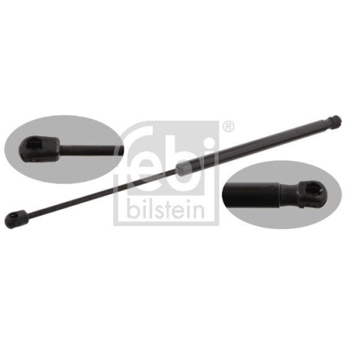 Febi Bilstein 31955 Gasfeder Koffer /laderaum Beidseitig für Ford Ford Usa