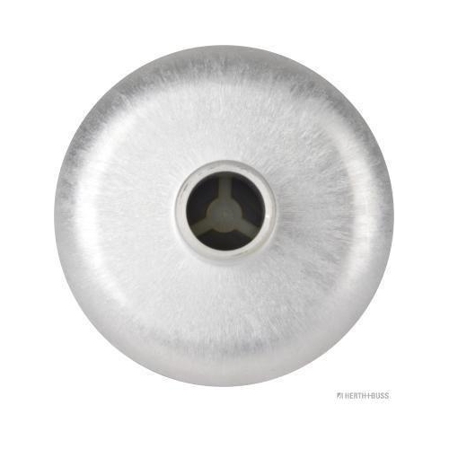 Herth+buss Elparts 65453001 Kraftstoffpumpe für Audi Citroën Fiat Ford Peugeot