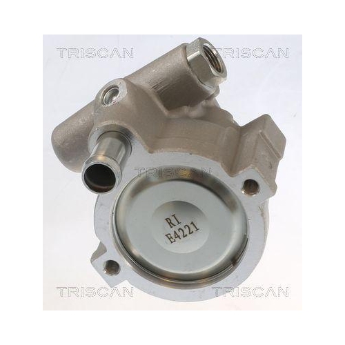 Triscan 8515 10631 Hydraulikpumpe Lenkung für Nissan Opel Renault Vauxhall