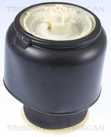 Triscan 8720 11201 Luftfeder Fahrwerk Hinterachse Beidseitig für Bmw
