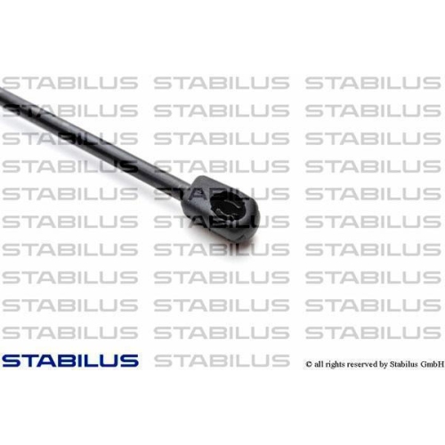 Stabilus 498324 Gasfeder Koffer /laderaum Beidseitig für Ford