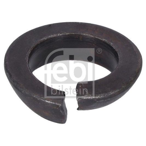 Limesring, Radbolzen