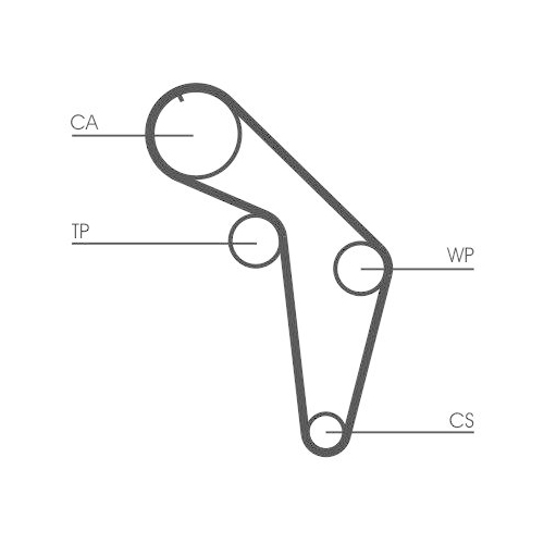 Continental Ctam CT926 Zahnriemen für Audi