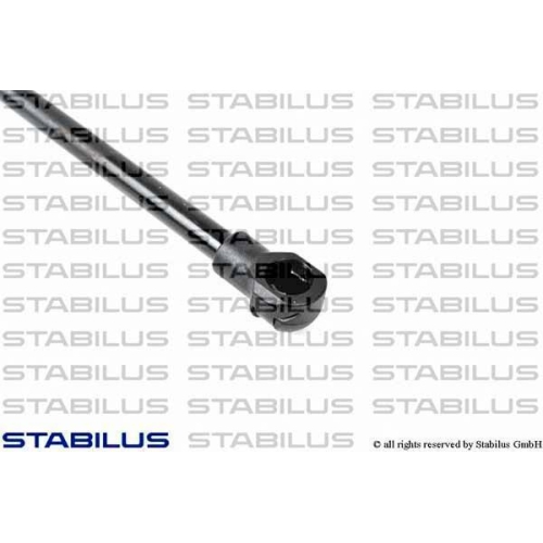 Stabilus 0685VR Gasfeder Koffer /laderaum Beidseitig für Bmw