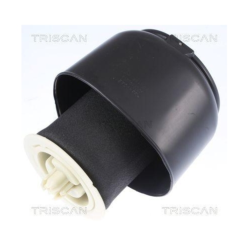 Triscan 8720 11201 Luftfeder Fahrwerk Hinterachse Beidseitig für Bmw
