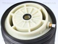 Triscan 8720 23202 Luftfeder Fahrwerk Hinterachse Rechts für Mercedes Benz