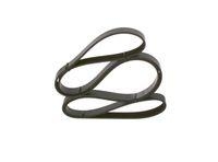 Bosch 1 987 947 824 Keilrippenriemen für Audi Bmw Chrysler Dodge Ford Honda Seat