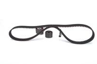 Zahnriemen-/Rollenset