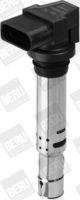 Borgwarner (beru) ZSE030 Zündspule für Audi Seat Skoda VW Vag