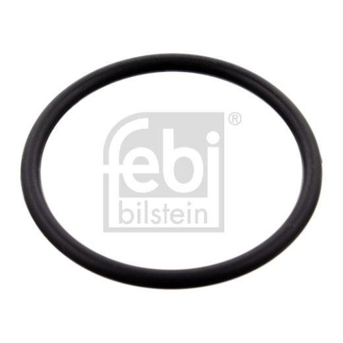 Febi Bilstein 100077 Dichtung Thermostatgehäuse für Mercedes Benz Mercedes Benz