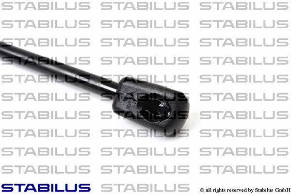 STABILUS LIFT-O-MAT GASFEDER DÄMPFER HECKKLAPPE für DB C KLASSE KOMBI S202