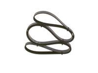 Bosch 1 987 947 824 Keilrippenriemen für Audi Bmw Chrysler Dodge Ford Honda Seat