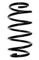 Spidan 55113 Fahrwerksfeder Vorderachse für Bmw