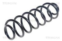 Triscan 8750 16127 Fahrwerksfeder Hinterachse für Ford