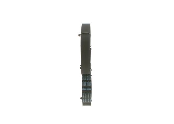BOSCH Keilrippenriemen 1 987 946 099