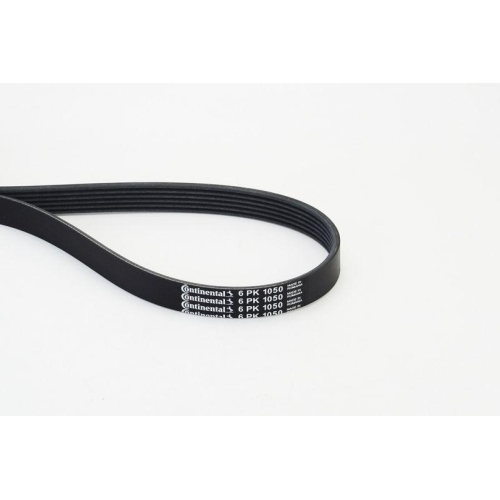 Continental Ctam 6PK1050 Keilrippenriemen für Audi Citroën Iveco Opel Peugeot VW