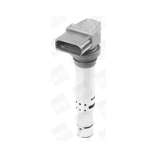 Borgwarner (beru) ZSE030 Zündspule für Audi Seat Skoda VW Vag