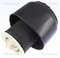 Triscan 8720 11201 Luftfeder Fahrwerk Hinterachse Beidseitig für Bmw