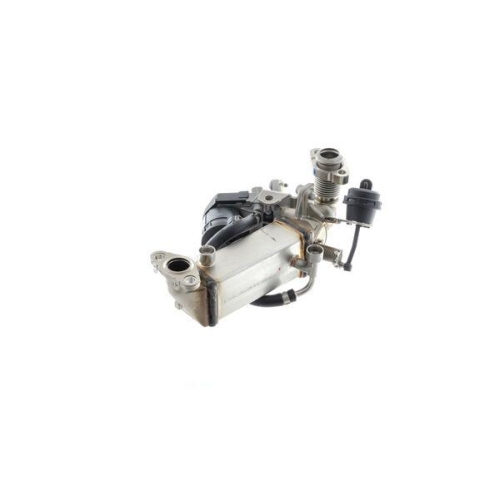 Kühler, Abgasrückführung