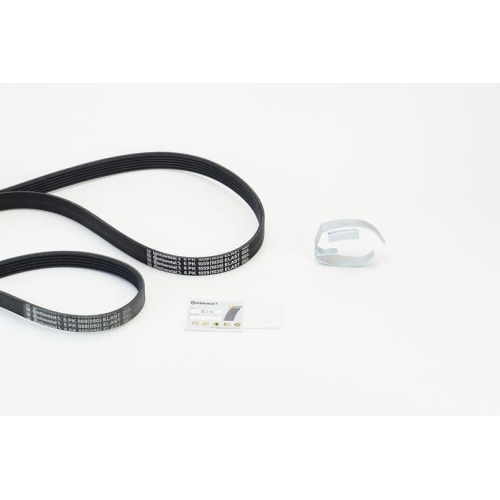Continental Ctam 6PK1059 ELAST T2 Keilrippenriemensatz für Ford Volvo