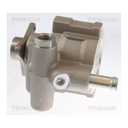 Triscan 8515 10631 Hydraulikpumpe Lenkung für Nissan Opel Renault Vauxhall