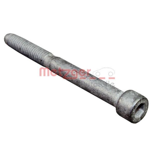 Metzger Autoteile 0870135S Schraube Einspritzdüsenhalter für Citroën Ford Toyota
