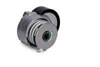 Schaeffler INA Riemenspanner, Keilrippenriemen