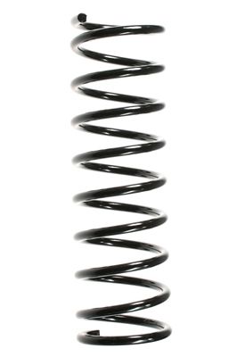 SPIDAN Fahrwerksfeder 49326