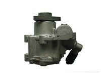 Spidan 53956 Hydraulikpumpe Lenkung für Bmw