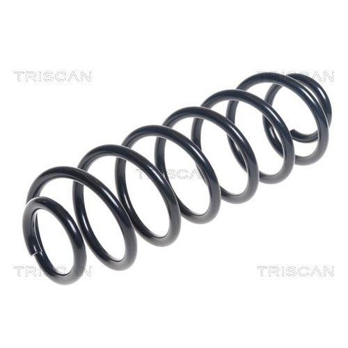 Triscan 8750 16127 Fahrwerksfeder Hinterachse für Ford