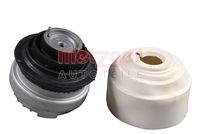 Metzger Autoteile 8053721 Lagerung Motor Beidseitig Rechts für Mercedes Benz