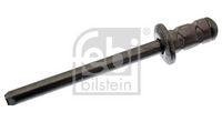 Febi Bilstein 48609 Blindniet für Alfa Romeo Fiat Lancia Mercedes Benz