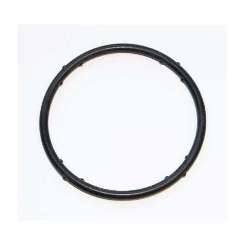 Dichtung, Kühlmittelflansch