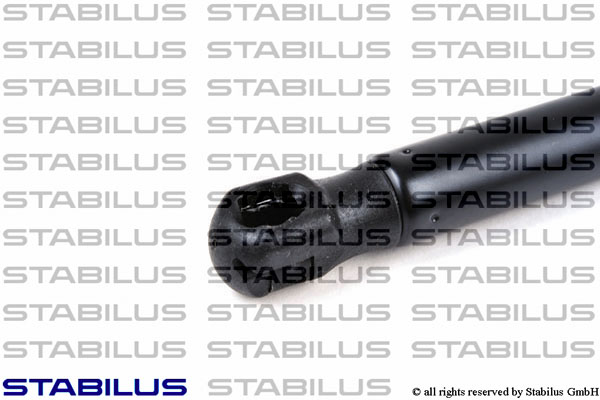 STABILUS Gasfeder, Motorhaube //  LIFT-O-MAT® AUDI 8E0823359A SEAT 8E0823359A
