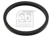 Dichtring, Thermostat