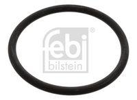 Febi Bilstein 17966 Dichtung Thermostat für Audi Mitsubishi Seat Skoda VW