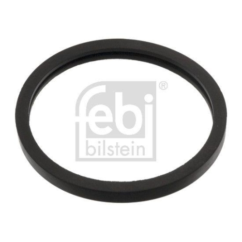 Dichtring, Thermostat