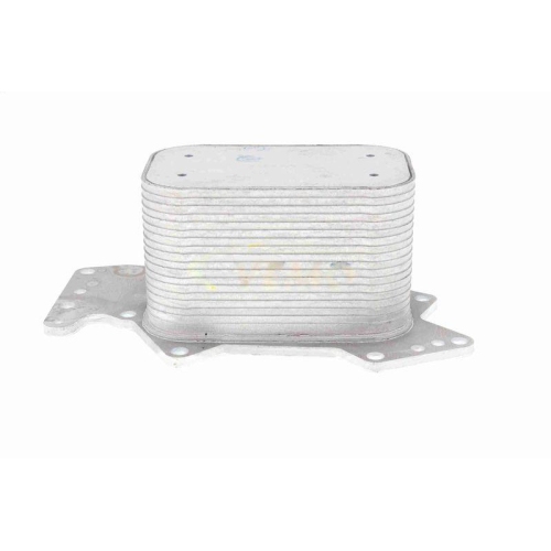 Vemo V15-60-6069 Ölkühler Motoröl für Audi Seat Skoda VW Vag
