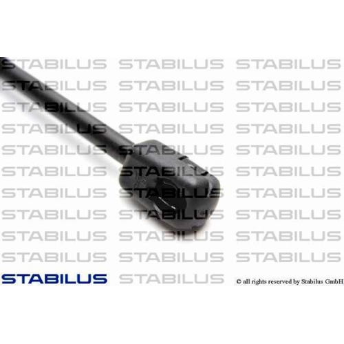 Stabilus 005190 Gasfeder Koffer /laderaum Beidseitig für Ford Ford Usa