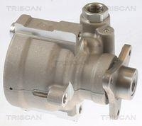 Triscan 8515 10631 Hydraulikpumpe Lenkung für Nissan Opel Renault Vauxhall