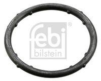 Febi Bilstein 18766 Dichtung Kühlmittelflansch für Audi Seat Skoda VW