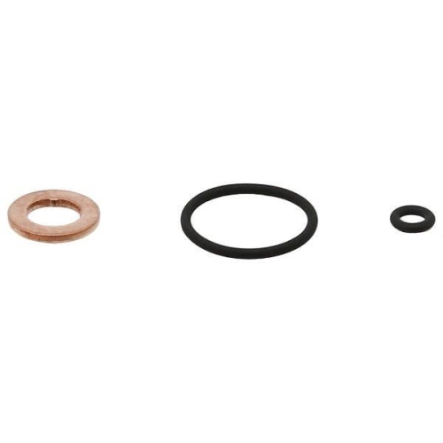 Elring 883.700 Dichtringsatz Common Rail Injektor