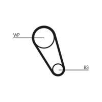 Continental Ctam CT1195WP1 Wasserpumpe + Zahnriemensatz für Audi Seat Skoda VW