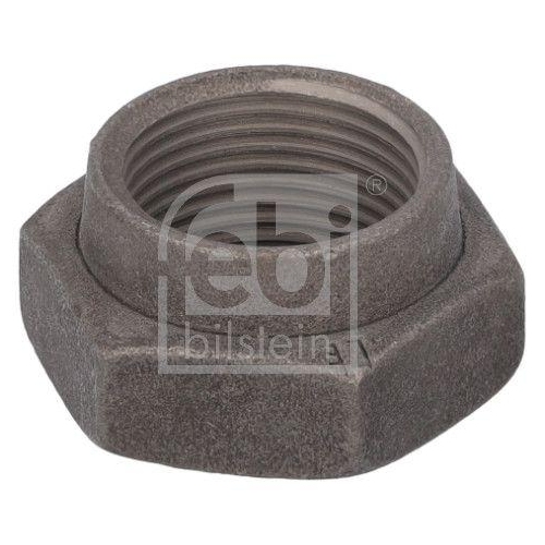 Febi Bilstein 19159 Mutter Achszapfen Hinterachse für Citroën Fiat Peugeot