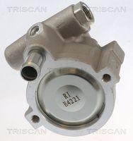 Triscan 8515 10631 Hydraulikpumpe Lenkung für Nissan Opel Renault Vauxhall