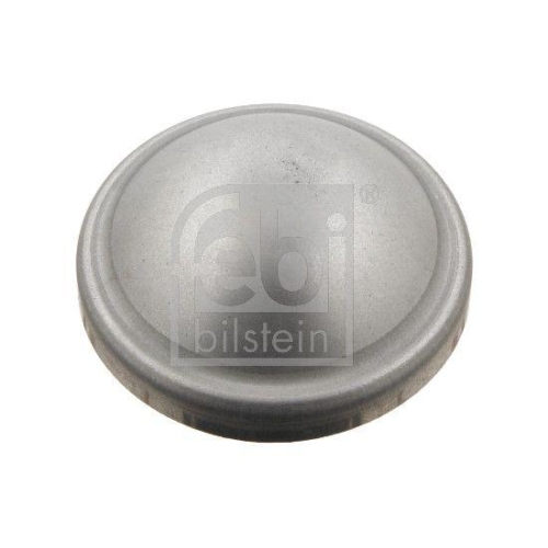 Febi Bilstein 29854 Kappe Radlager Hinterachse Links Hinterachse Rechts für Ford