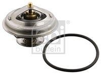 Thermostat mit Dichtring