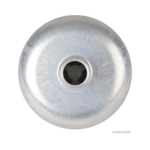 Herth+buss Elparts 65453010 Kraftstoffpumpe Rahmenunterseite Im Kraftstofftank