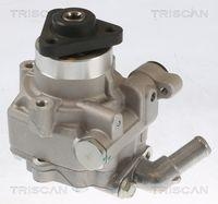Triscan 8515 29696 Hydraulikpumpe Lenkung für VW Hitachi