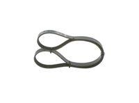 Bosch 1 987 946 040 Keilrippenriemen für Alfa Romeo Fiat Ford Lancia Mazda Opel